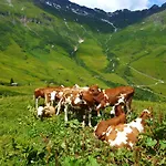 Bauernhof Stubnerbauer