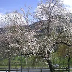 Vakantieboerderij Stubnerbauer *