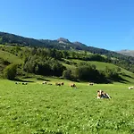 Bauernhof Stubnerbauer *