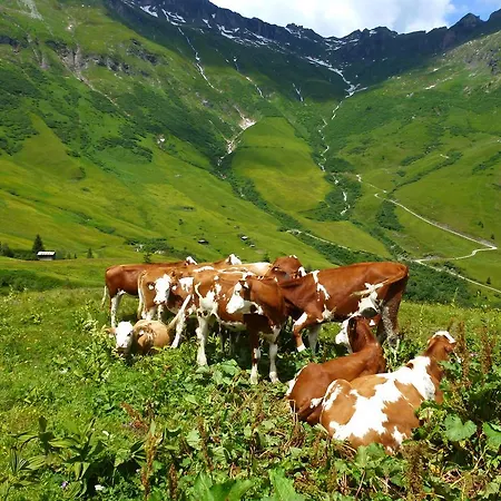 Alojamento de Turismo Rural Stubnerbauer