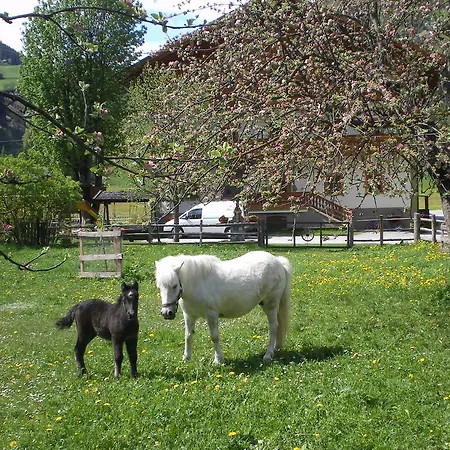 Stubnerbauer Alojamento de Turismo Rural Bad Hofgastein